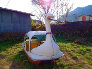 木崎湖の白鳥ボート